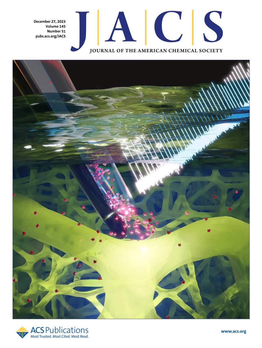 J_A_C_S's tweet photo. From this week's covers: "Nanoconfinement and Crowding Enhanced Single-Molecule Detection of Small Molecules with Nanopipettes".

Read the full article here ➡️ https://t.co/CaRNTL17GD https://t.co/O5CTpI7Kv2