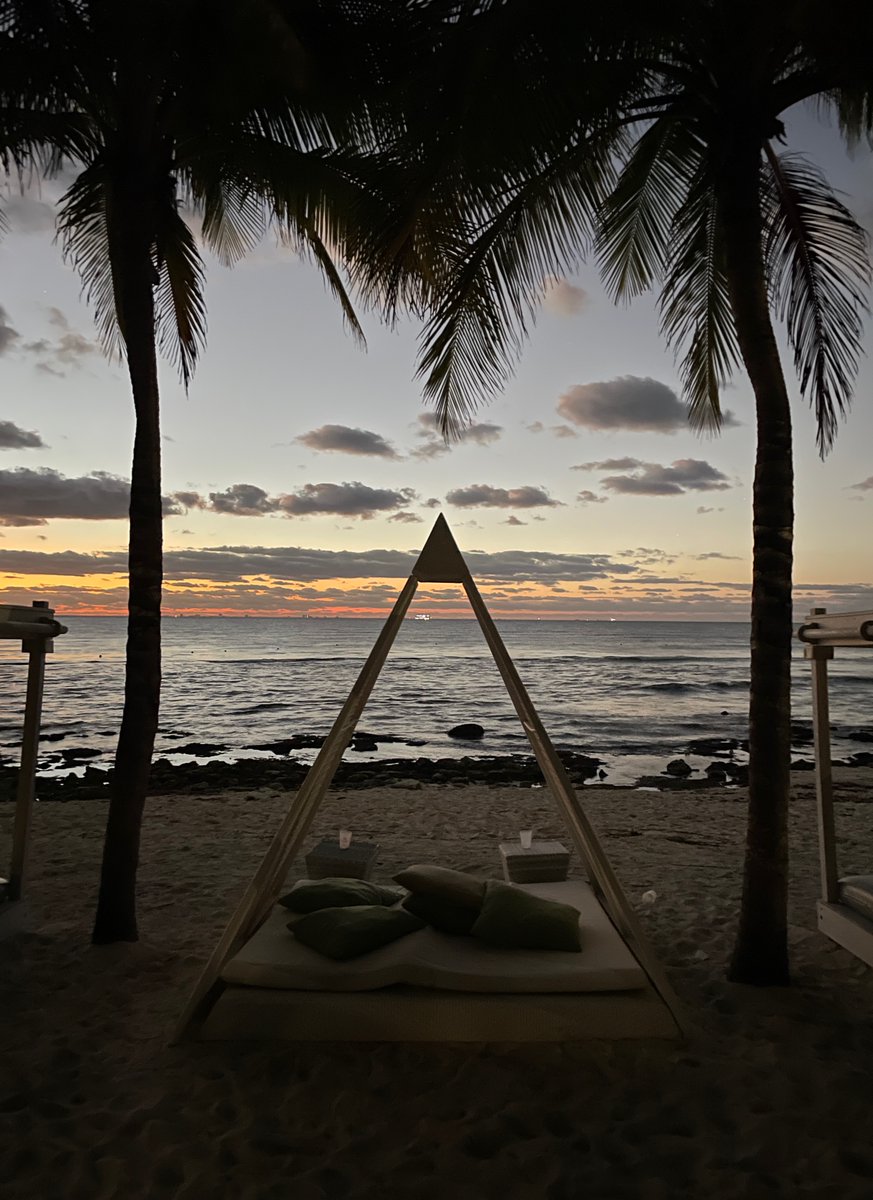 Tom Harari tweet media