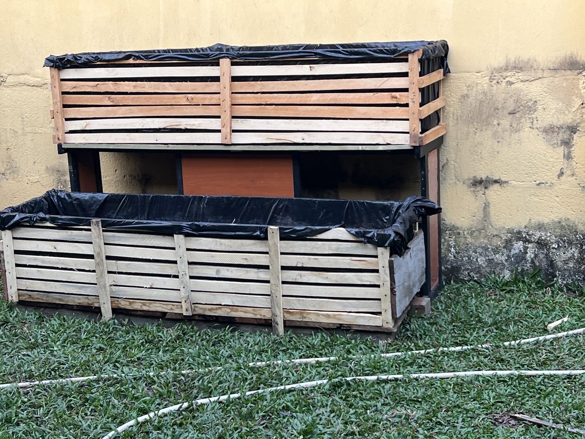 Resolutions that can be achieved in 2924. I am not buying g Ewedu &amp; Tete veg and Okra this year. Frames &amp; 2 Ewedu in sacks, frame 3, my banana growing as dwarf because i planted it in a plant pot. Done this successfully many times. Frame 4, my vegetable troughs. ⁦<a href="/sarnchos/">~greedy farmer™~ Àwé Alágbo™ CAC-OFR</a>⁩