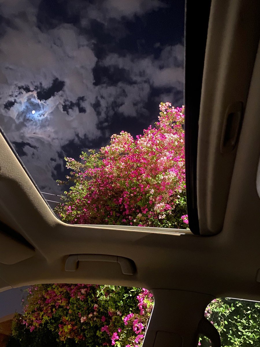 Kalbimi seninle dinlendir Allah'ım, yoruyor bu dünya telâşları.