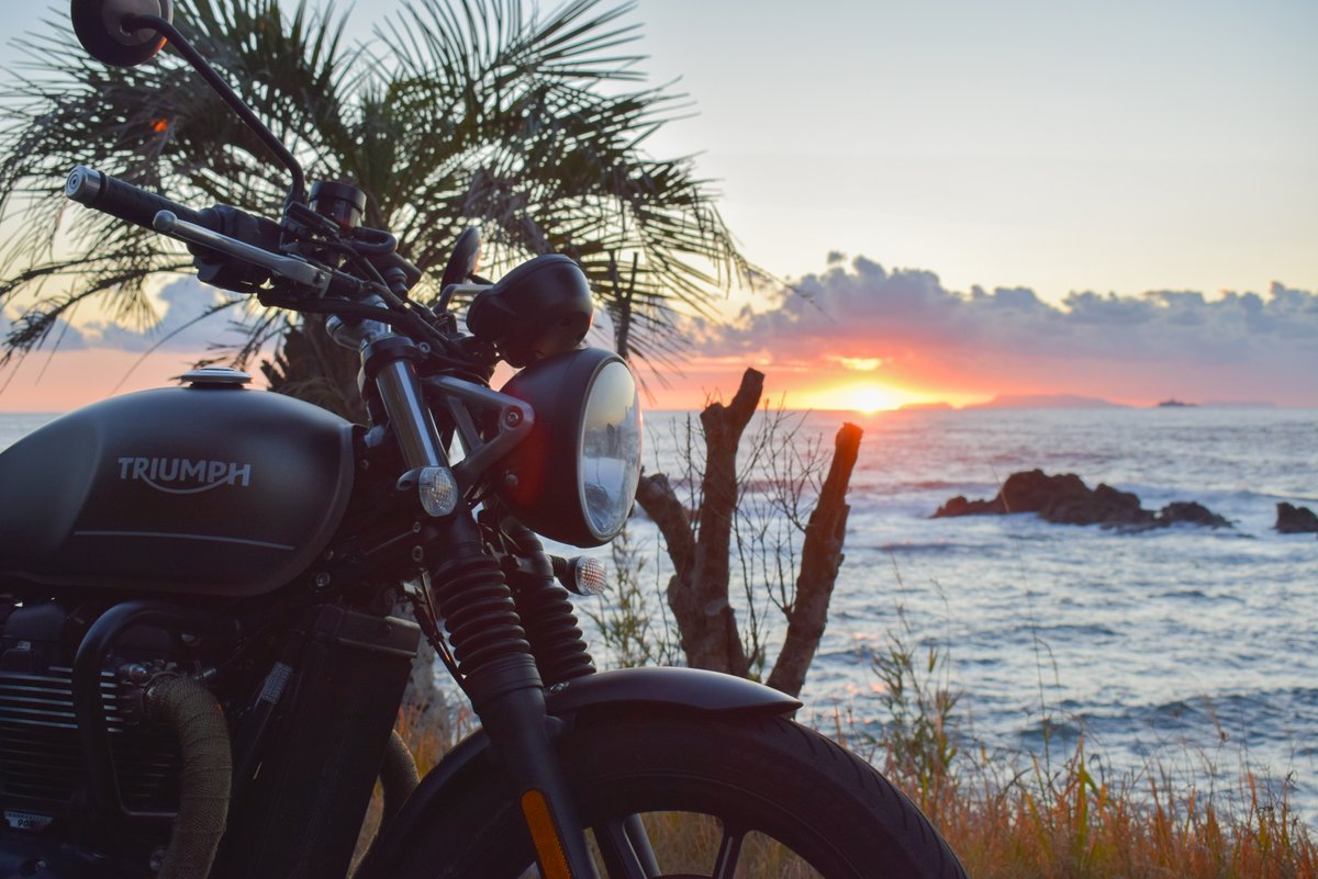 @がみんぐみ tweet media