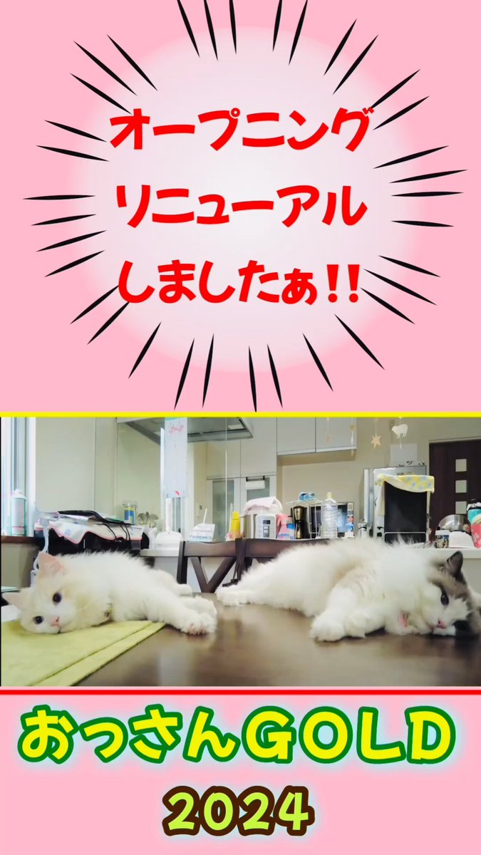 OssanGold_'s tweet photo. オー��ニング、リニューアルしました‼️ 2024年 https://t.co/voYgmCM1LG @YouTubeより https://t.co/Nnns4jvWla