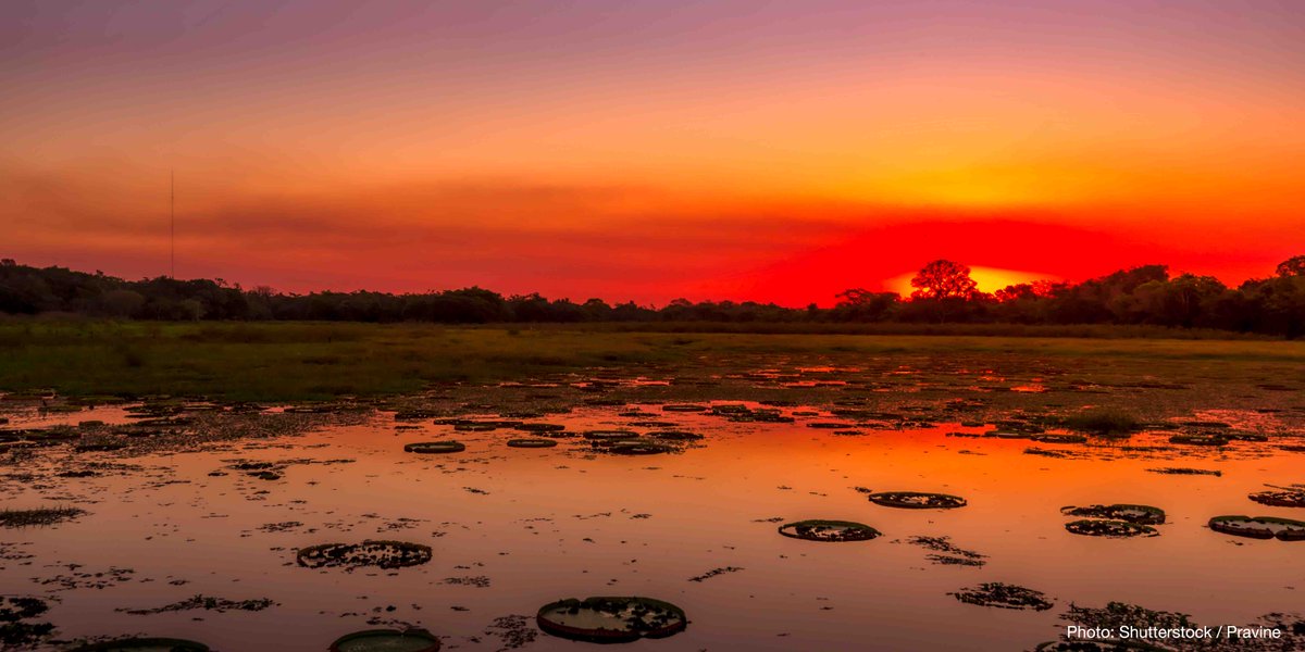 IUCN's tweet photo. Happy New Year to you and yours, we look forward to continuing our work for people and planet in the coming year https://t.co/7ZtxbFiASg https://t.co/XFlfPJchrZ