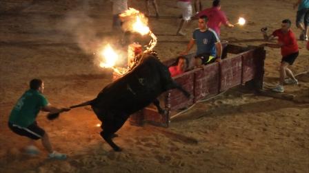JoseLuisSTAP's tweet photo. #TalDiaComAvui l'1 de gener de 2012 entrà en vigor l'abolició de les curses de #braus #toros i ja ningú se'n recorda del 'haters'.
Fixeu-vos si és fàcil fer un món millor.
12 anys després a #Catalunya encara no hem estat capaços d'acabar amb la tortura sàdica dels #correbous. https://t.co/pVdf3IMVeN