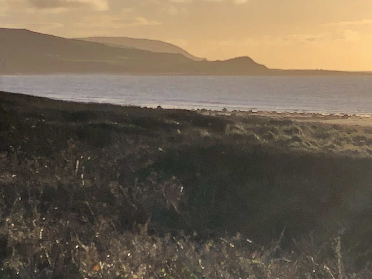 Paul Johnson tweet media