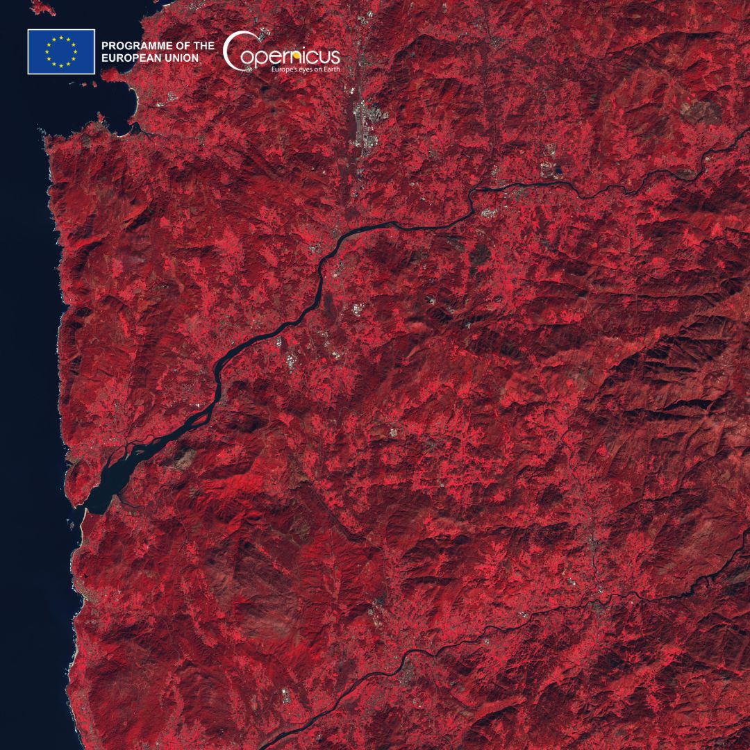 #CopernicusSanta 🇪🇺🛰️ gifts are coming❗️ The Minho region🇵🇹🇪🇸 as seen by #Sentinel2 Special #HolidaySeason present 🎁 for @GroudZeroCience