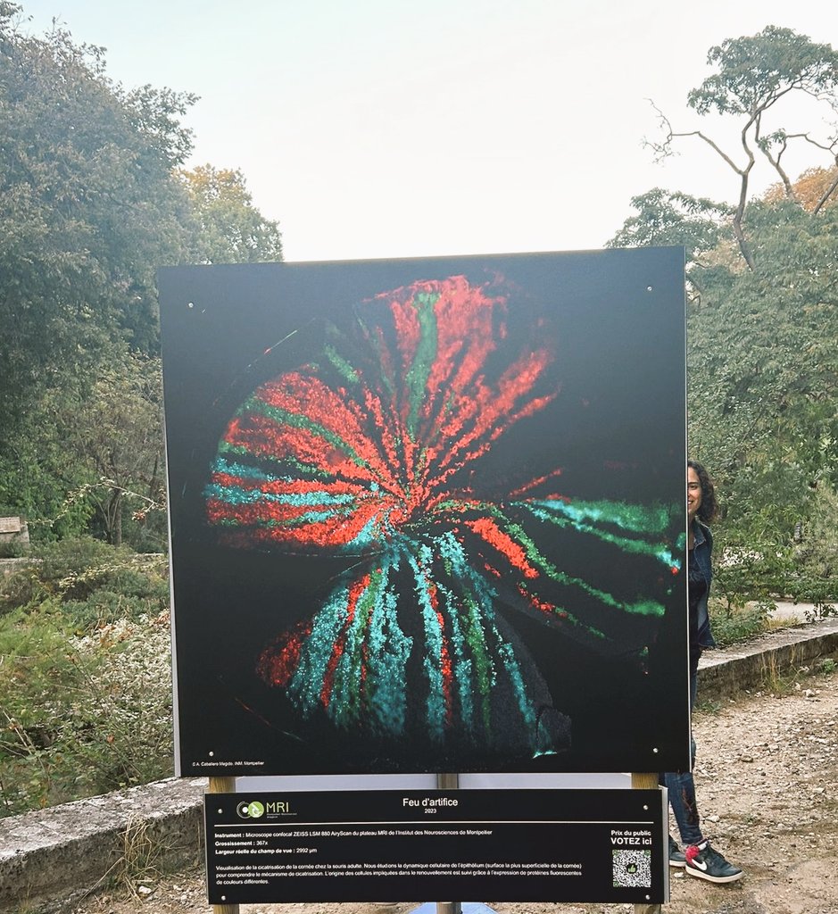 Eye_INM (@eye_inm) on Twitter photo Goodbye 2023! You were an intense year. We yielded numerous results, paving the way to a fruitful 2024. The team is greatful for the support from <a href="/InsermOccMed/">Inserm Occitanie Méditerranée</a> <a href="/umontpellier/">Université de Montpellier</a> <a href="/CHU_Montpellier/">CHU de Montpellier</a> and numerous funding bodies We will work hard to bring out knowledge for new therapies. Goodbye 2023! You were an intense year. We yielded numerous results, paving the way to a fruitful 2024. The team is greatful for the support from <a href="/InsermOccMed/">Inserm Occitanie Méditerranée</a> <a href="/umontpellier/">Université de Montpellier</a> <a href="/CHU_Montpellier/">CHU de Montpellier</a> and numerous funding bodies We will work hard to bring out knowledge for new therapies.