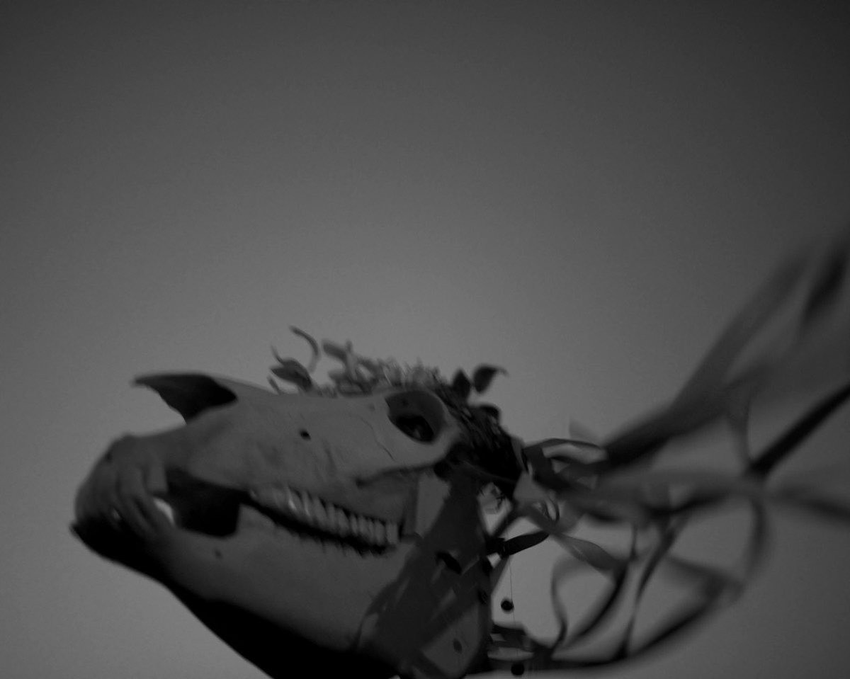 The Mari Lwyd, from my new series, Hark at the Hands of the Clock.

Happy New Year, all 🖤