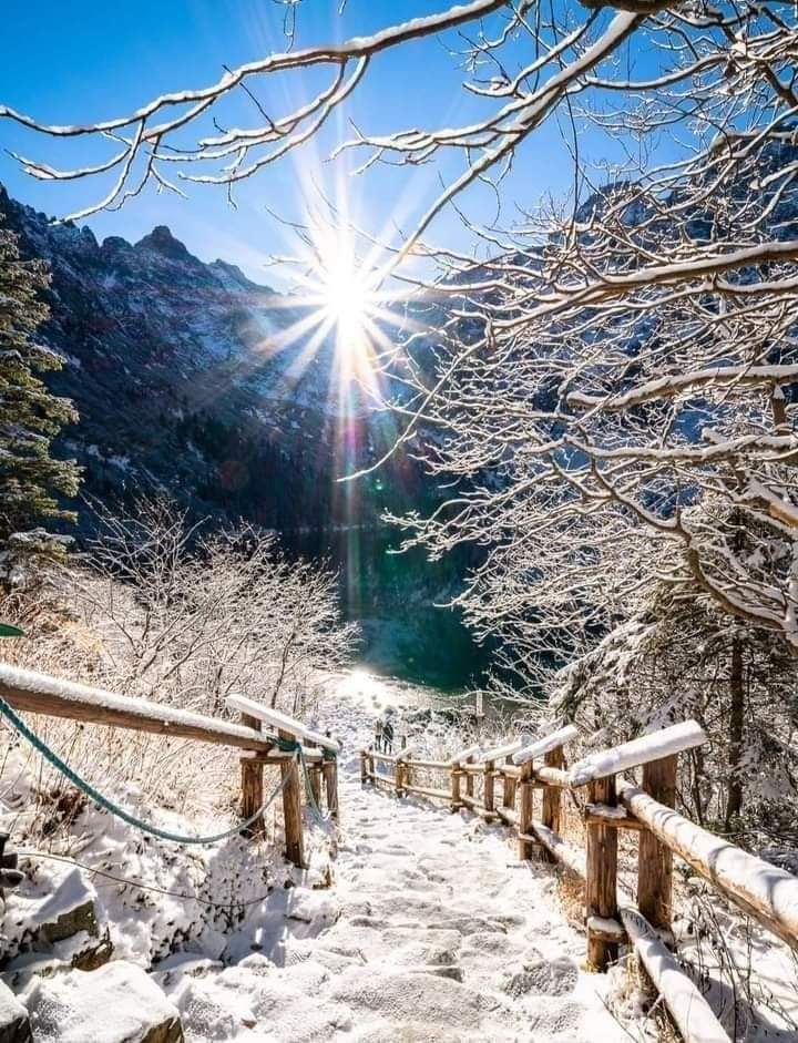Good morning 💙🤍💙 Beautiful day for all ❄️