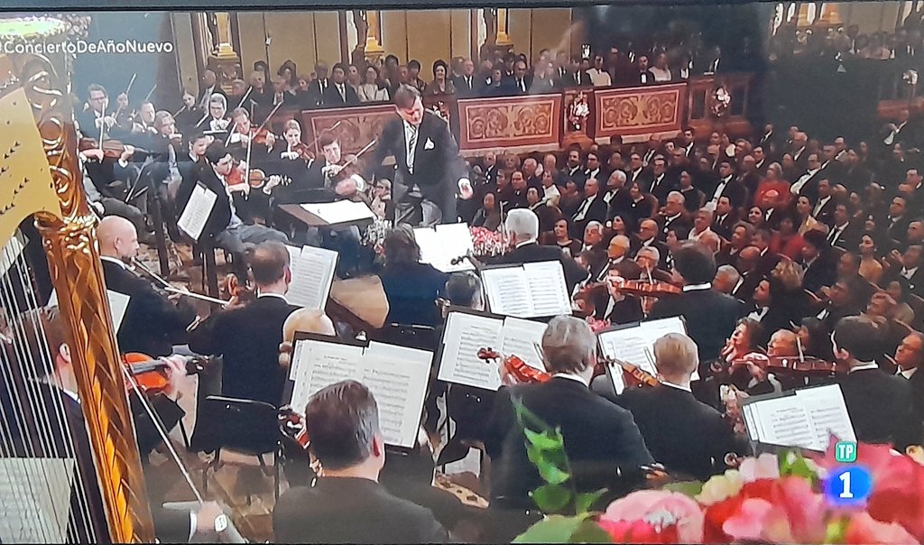 alcaraz511's tweet photo. Que  maravilla de  realización del  concierto año nuevo desde Viena. https://t.co/lrZTStiQBL