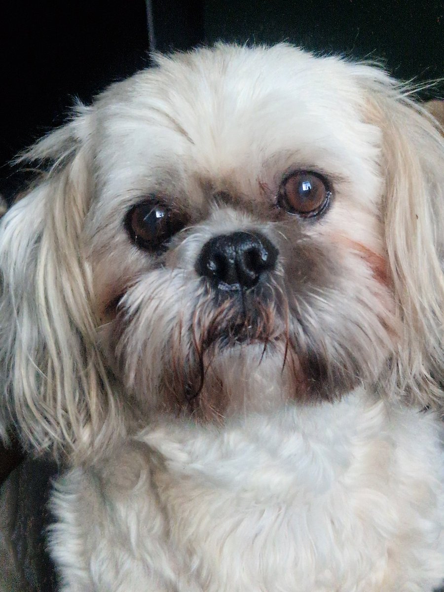 HAPPY NEW YEAR ❤️❤️❤️❤️