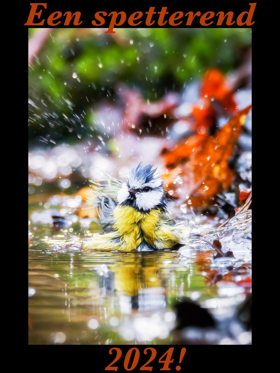 #mijnbrabantslandschap