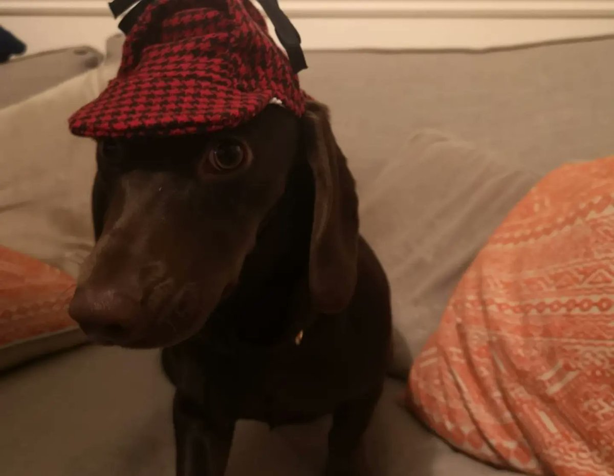 A murder mystery, Sherlock Bones, great friends and even better food...what a way to end 2023!

Happy New Year everyone! Here's to 2024! <a href="/Baron_Flumpy/">Mike Wright</a> <a href="/ReverendHassall/">Reverend H</a>