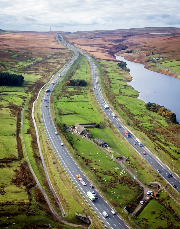 Michael Ripley tweet media