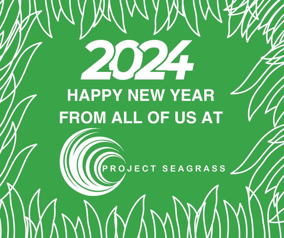 As we step into 2024, let's continue our pursuit of goals and strive for a better world for seagrass meadows. Let's make this New Year a fruitful one for #SeagrassConservation and achieving our #NewYearGoals.