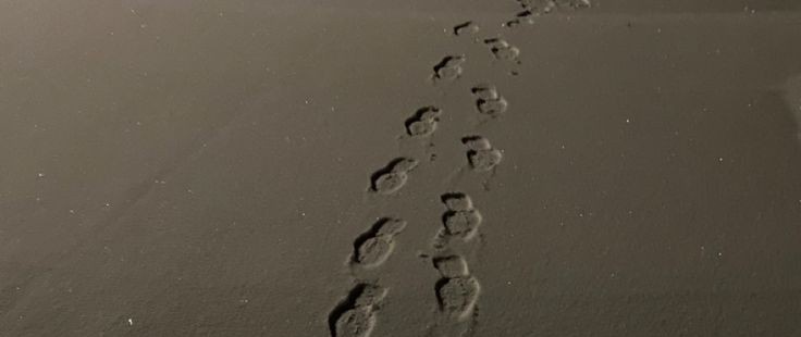 ⠀

⠀⠀⠀⠀俺みたいに足下を見ねぇ人

⠀⠀⠀⠀ตัวฉันผู้ไม่ก้มมองใต้เท้าตนเอง

⠀