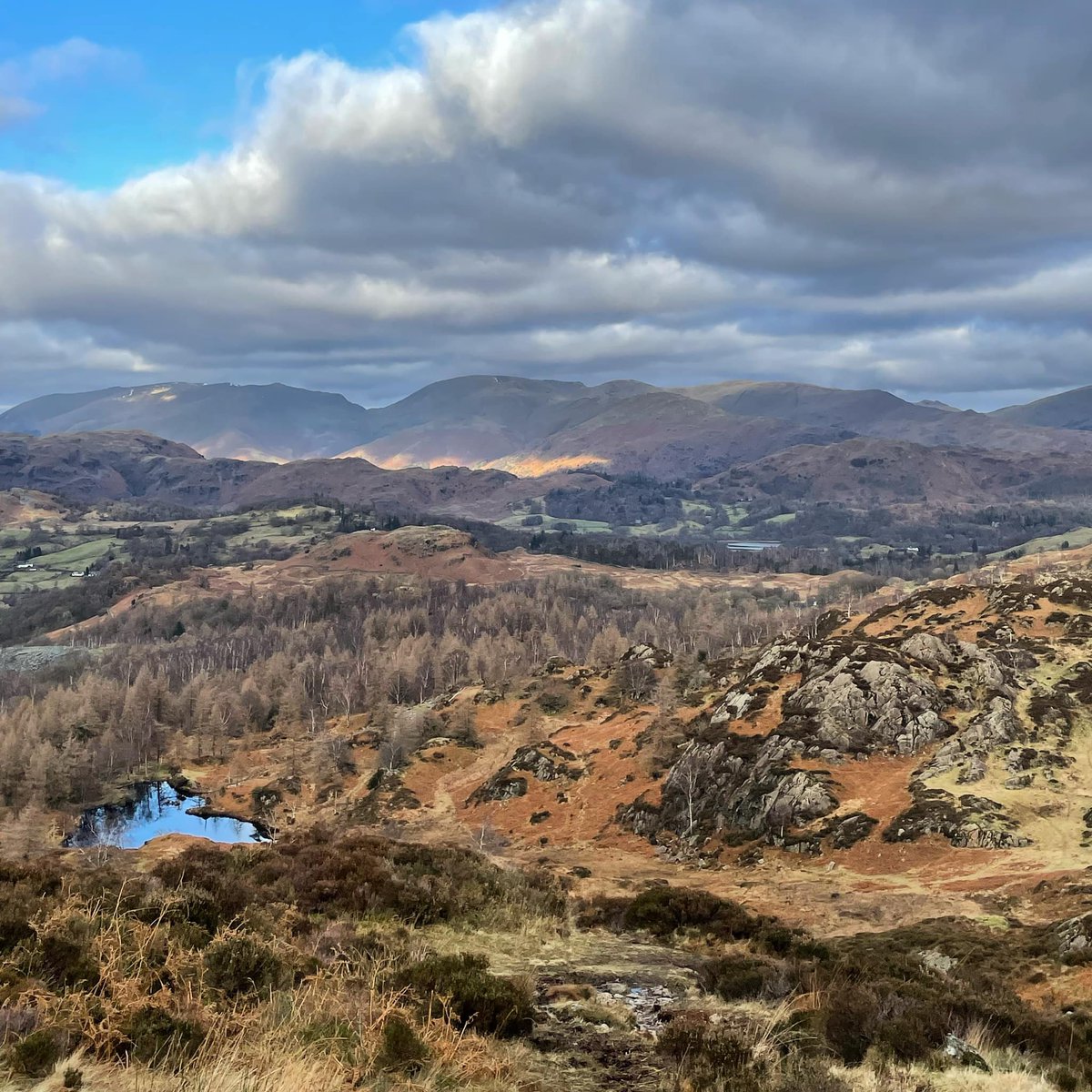 FredsBookshop's tweet image. Wishing you all a very Happy New Year from @FredsBookshop !
A little reminder that the shop is open today from 10am-4pm for all your new year book browsing! 
or peruse our January Read here: uk.bookshop.org/lists/fresh-ne…  
#HappyNewYear2024 #newyearnewbooks #2024reads @bookshop_org_UK