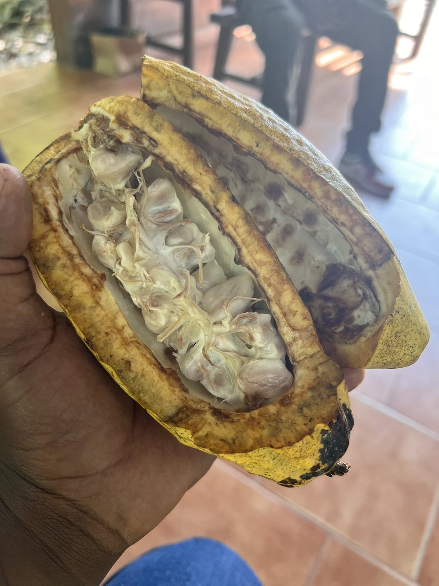 Chipo Dendere tweet media