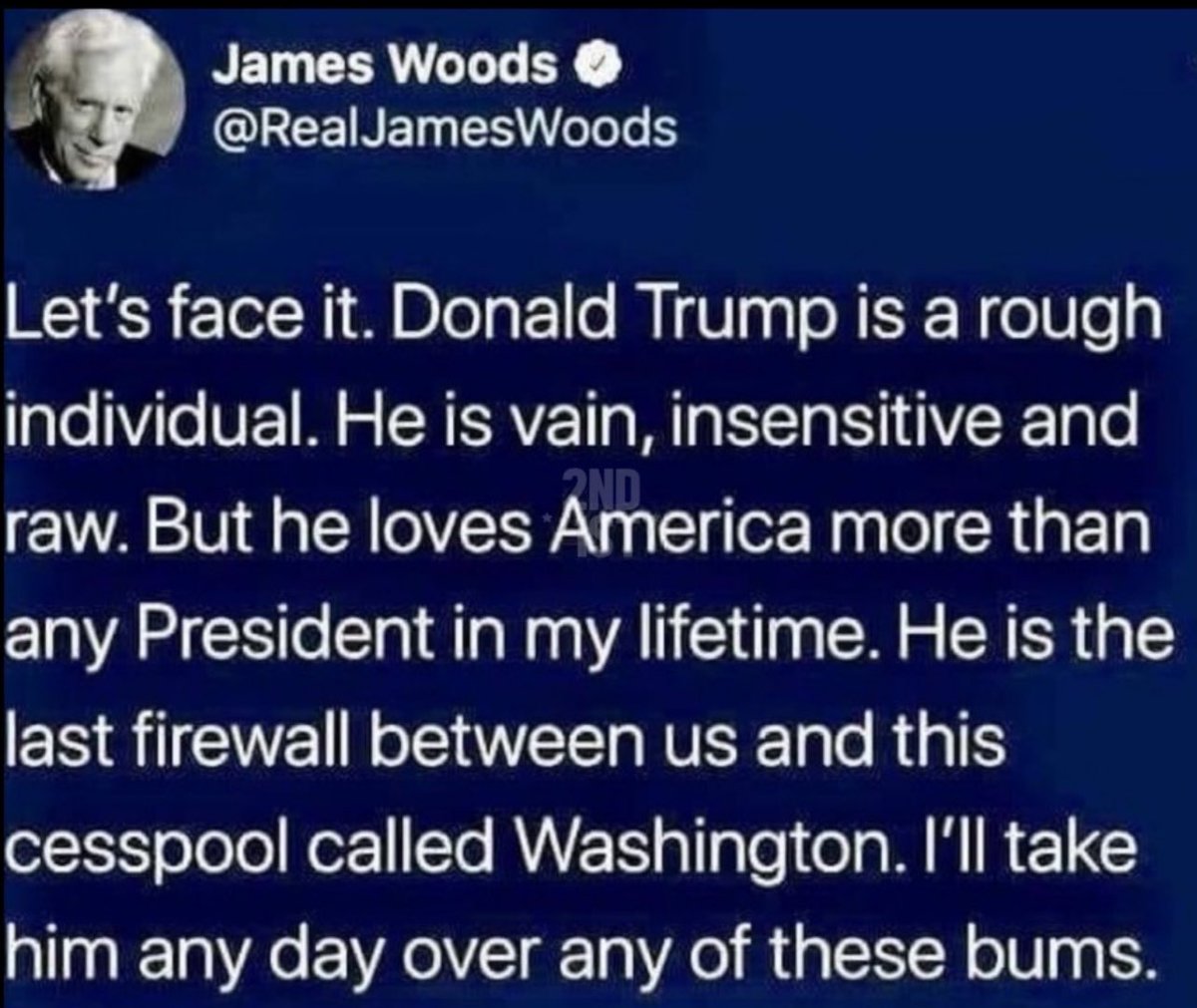 Brie Grey 🇺🇸 🔥❄️ tweet media