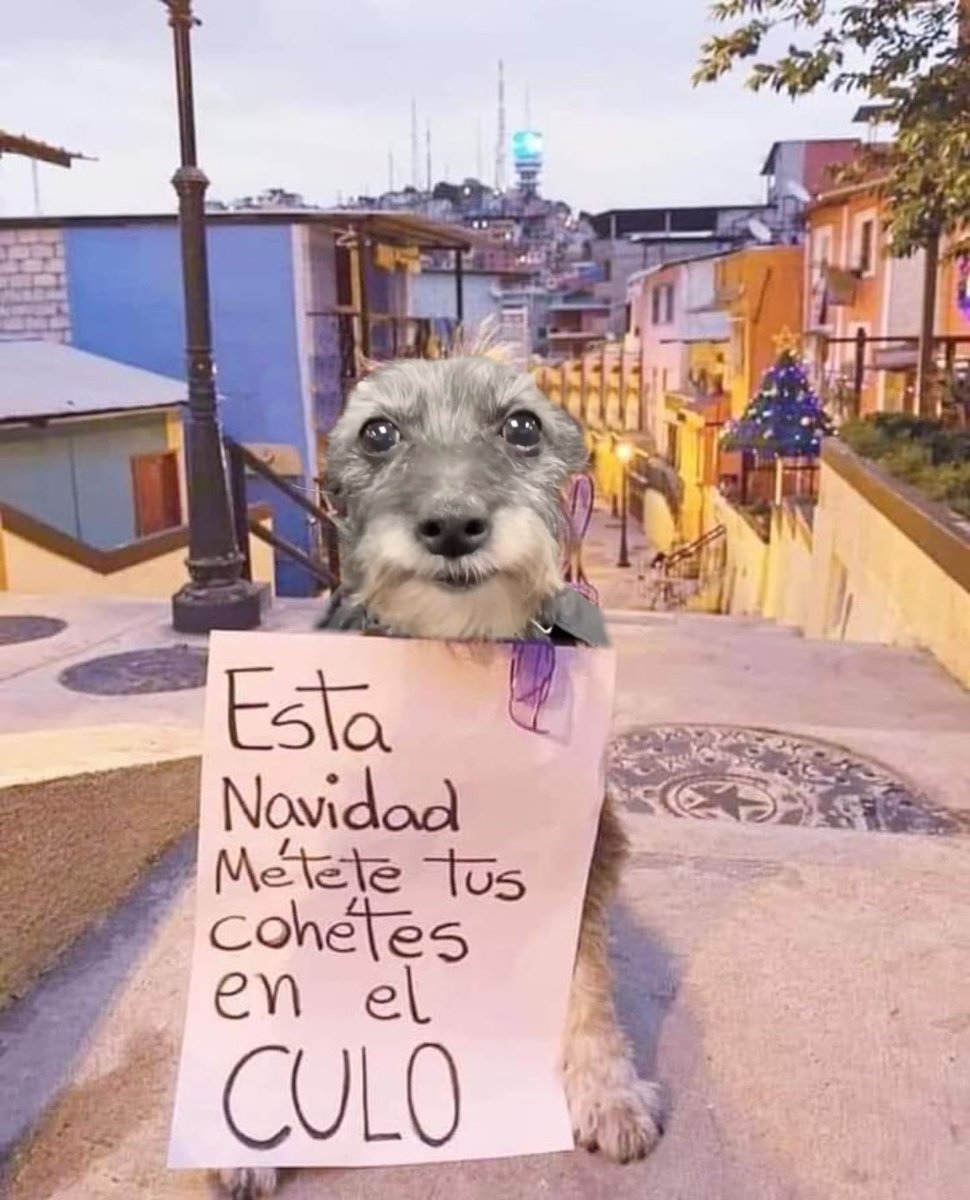 pedro tweet media