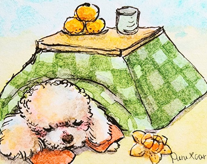 「mandarin orange under table」 illustration images(Latest)