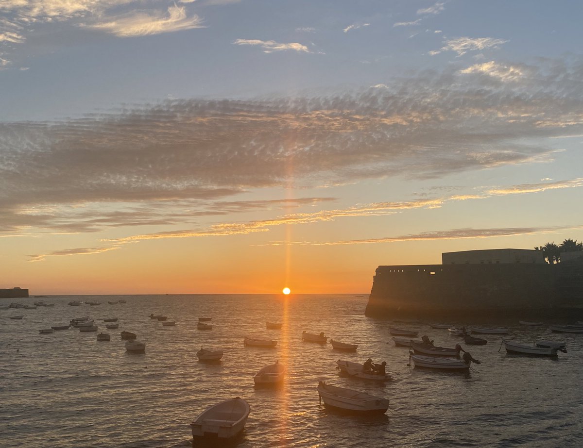 BLACKMUSCLE3 tweet media