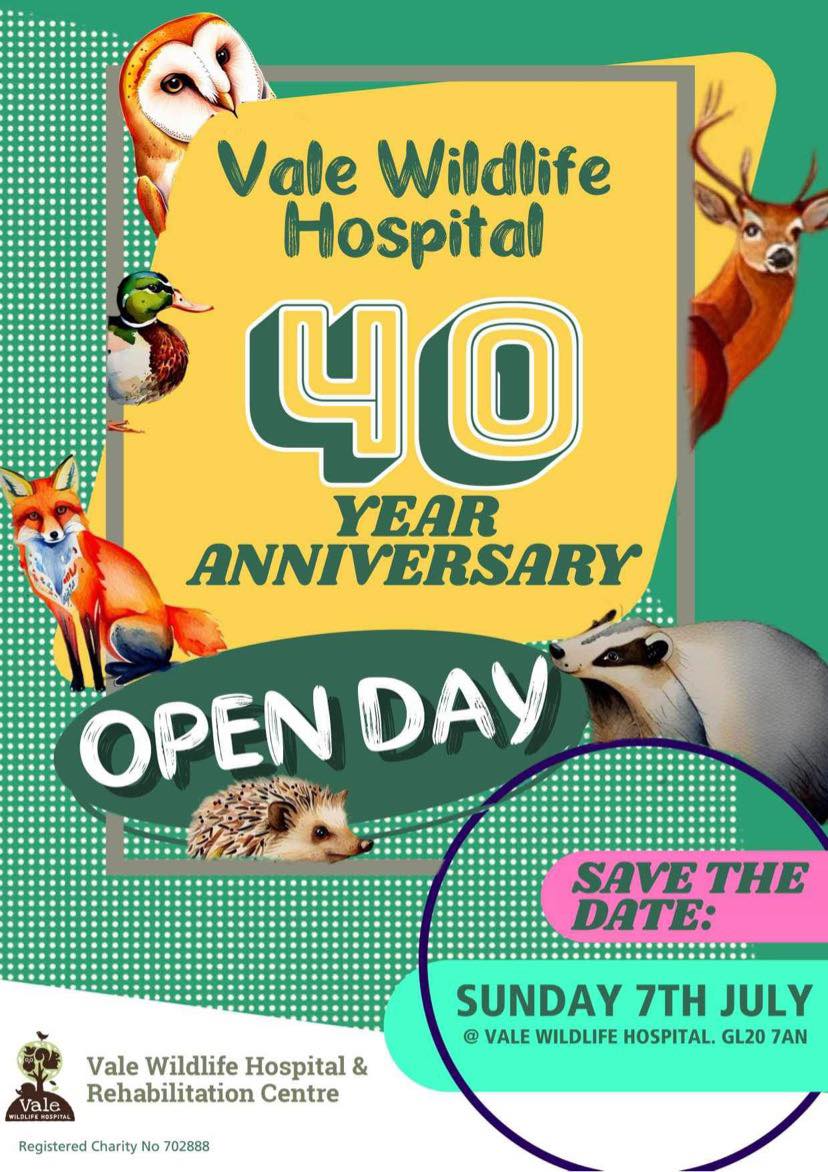 2024 will see the 40th Anniversary of Vale Wildlife Hospital and to celebrate will be holding our biggest and best Open Day ever.
SUNDAY 7TH JULY 2024 - SAVE THE DATE!!
More info to follow in due course :)