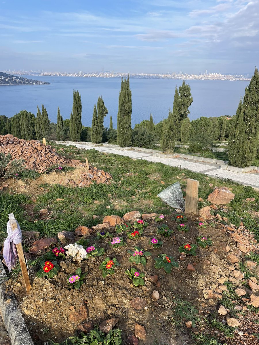 mehmet esen tweet media