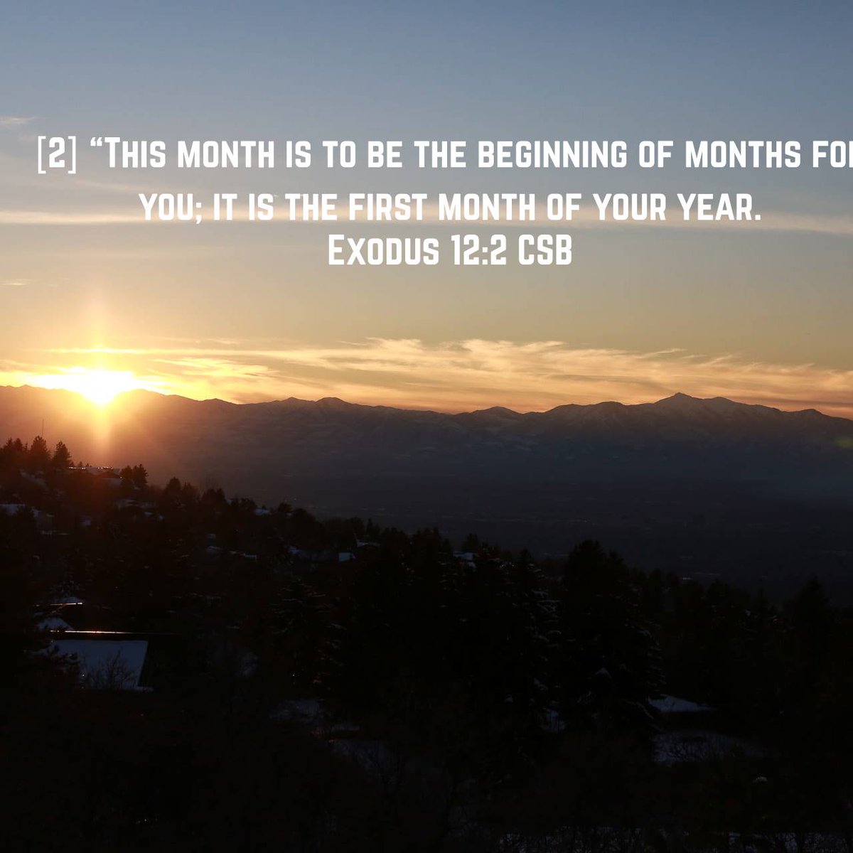 EliotChurch's tweet photo. Exodus 12:2 CSB
[2] “This month is to be the beginning of months for you; it is the first month of your year. 

#Highsteppinginto2024 https://t.co/u6MKiQv8Jt