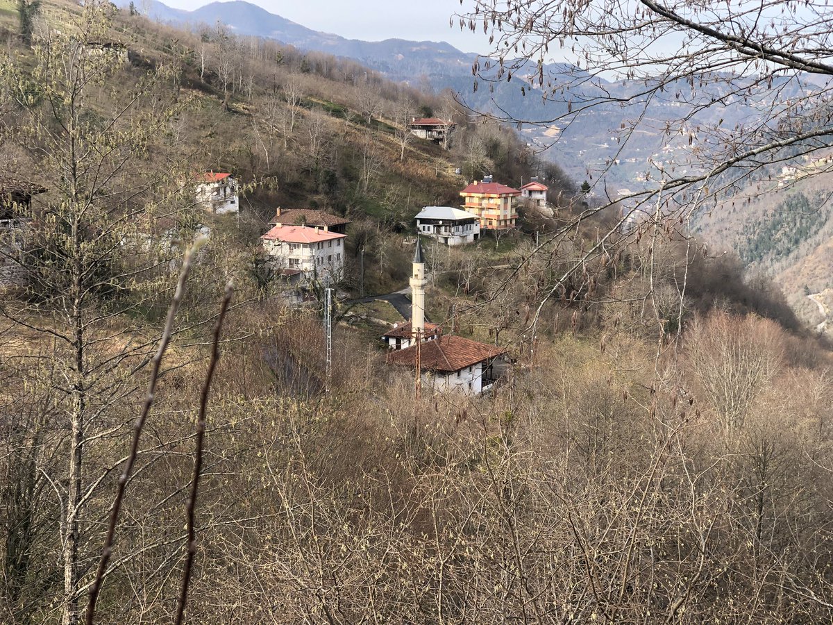 fotinosdan's tweet photo. Yeni yılın ülkemiz için sağlık, mutluluk ve başarı getirmesini temenni ediyor; dünyamız için barış dolu bir yıl olmasını diliyoruz. 
#çaykara #Kabataş @caykarahaber https://t.co/fQGkHhxMuV