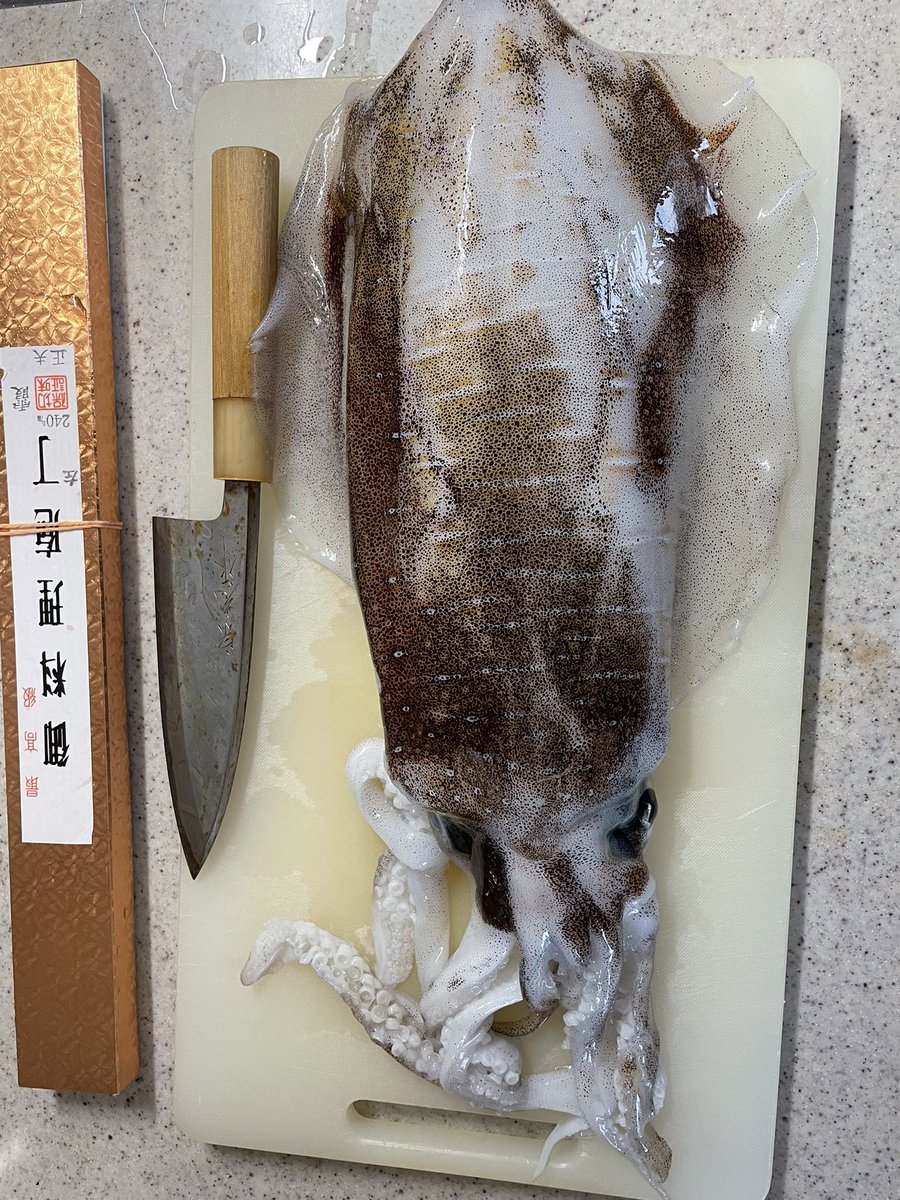 Angleryuu_66's tweet photo. アオリイカ美味しい。 https://t.co/k3h4RR7tRg