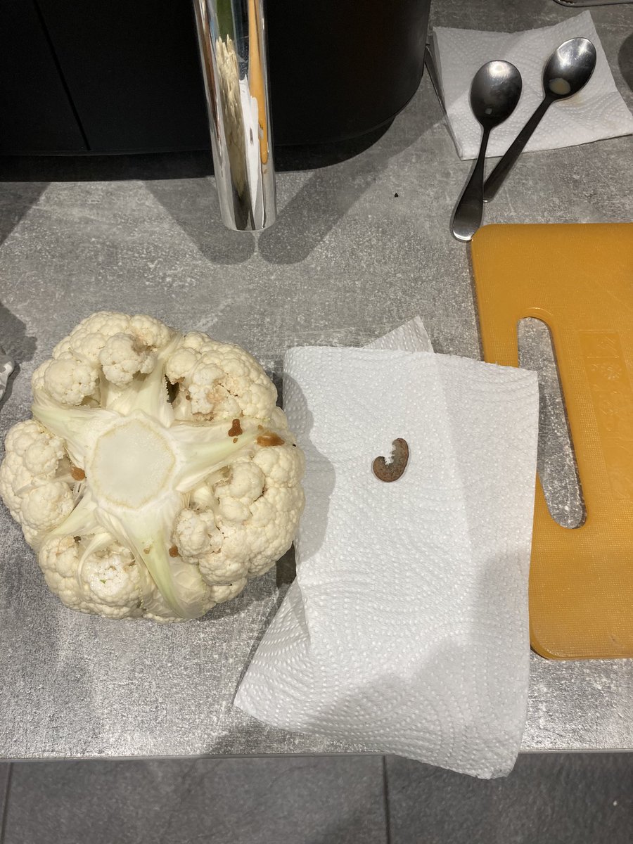 natashacbell's tweet photo. @AldiUK bought this cauliflower on Saturday, cut it open today and it is full of live maggots. https://t.co/tUzIRdCXVz