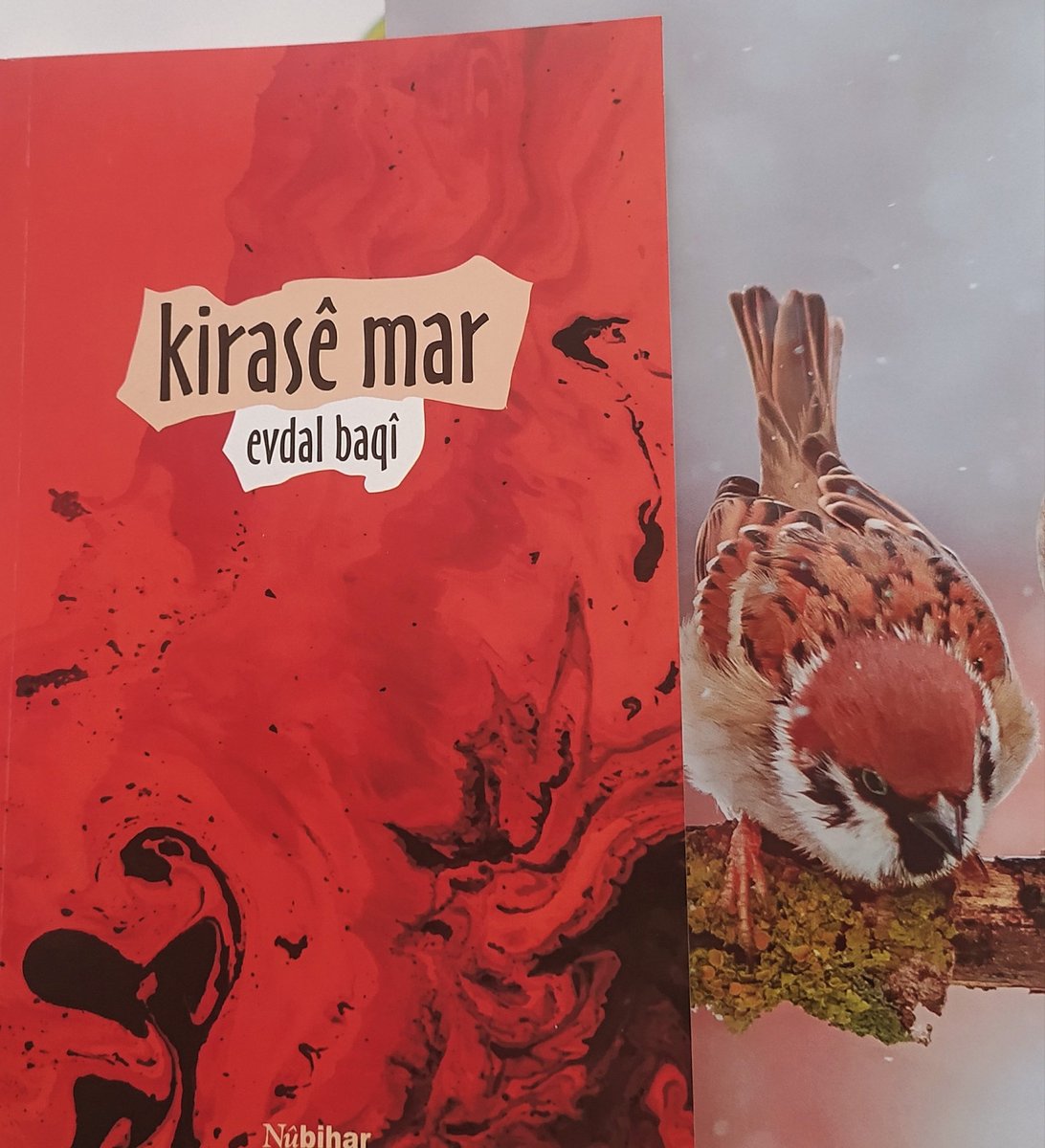 brahimaluci's tweet photo. piştî tu çû
keskesoran reş girêdan
yek bi yek hişk bûn lemên vî welatî
bîstan hatin berdan
ciyê bi te dibû gulistan
îro bûye goristan
kurdistan

kirasê mar
evdel baqî
@evdal_baqi 
nûbihar
@nubihar 
hêlîn pirtûk 
@keremqoseri https://t.co/s0YoWWOCNK