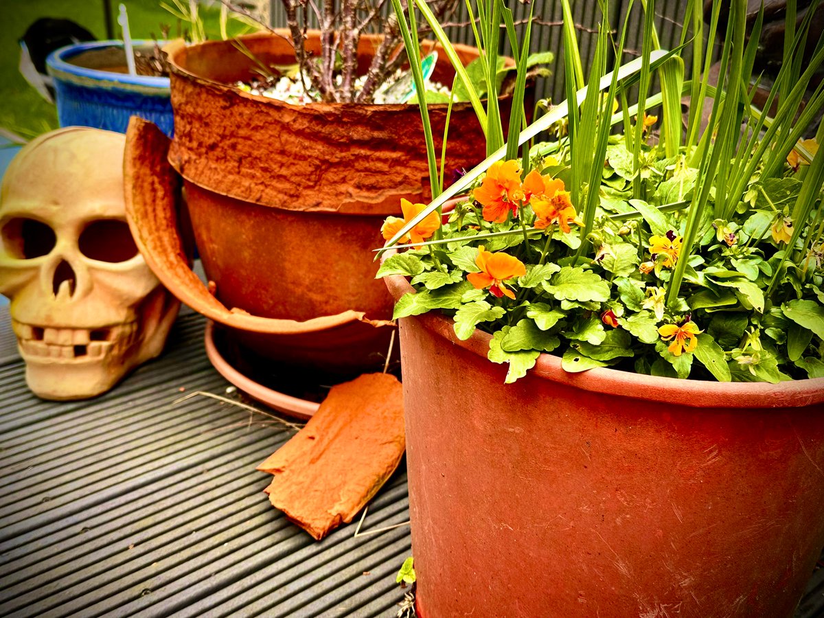 2023 vs 2024. A little colour &amp; some hopeful shoots…