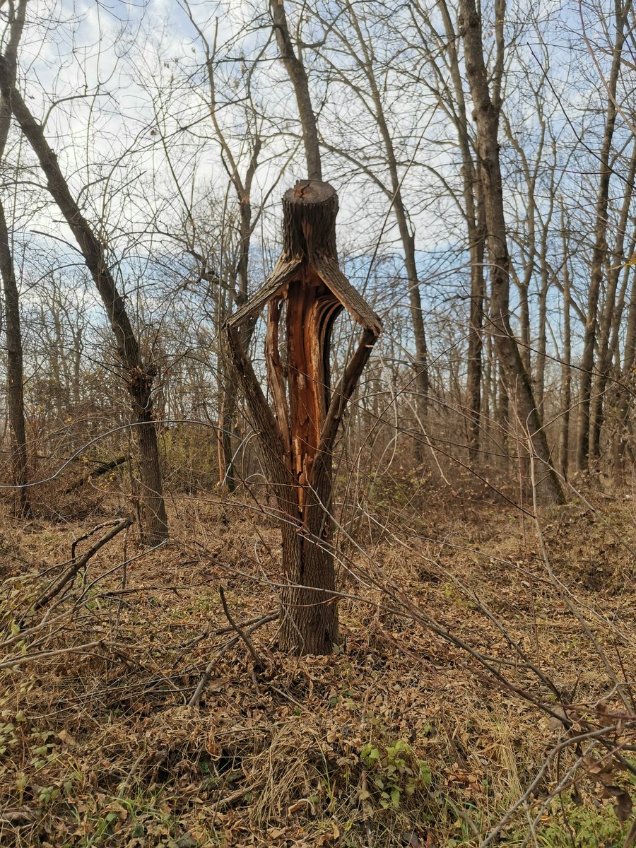 svakako_ja's tweet photo. Bubanj pronađen.. slobodno sami nastavite. Došli ljudi sa svih strana, imamo šta da pokažemo. Slika i prilika naroda. Vlasti. Kulture. #bubanj Spomen park. https://t.co/N8xmInSIf9