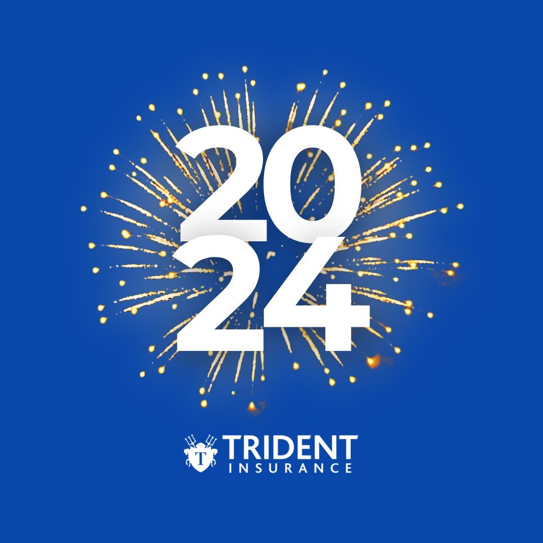 TheRealTrident's tweet photo. We'd like to wish everyone a very #HappyNewYear! 🎆 https://t.co/qf673pNNjm