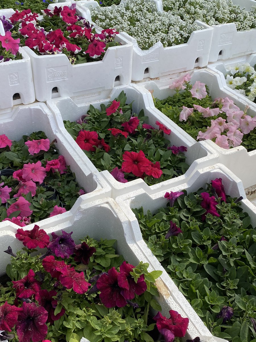 رحلة ؛
— للمشاتل مع خوي الغُربة 🌿💗