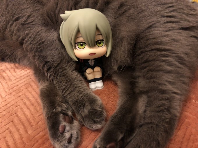 ใใฃใใใใญโฆโฆ