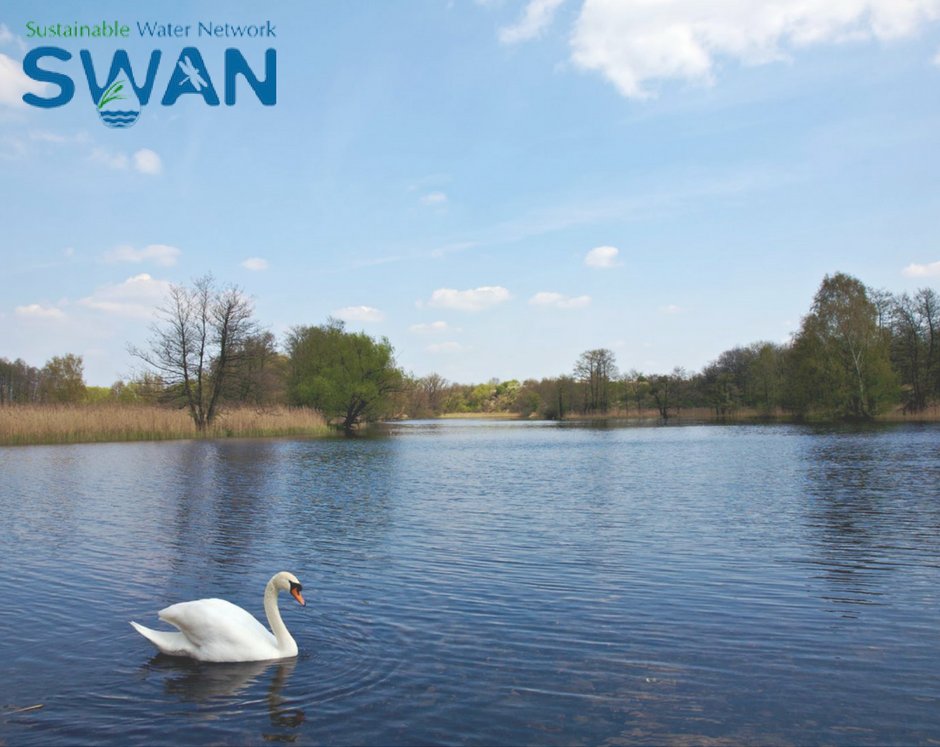 Chief Operations Officer w/@swanireland - If you're an adaptable, solutions-focused, senior operations professional with an interest in SWAN’s mission, a positive disposition, and a can-do attitude, we would love to hear from you! charitycareersrecruitment.ie/vacancy/102 #JobFairy #IrishJobs