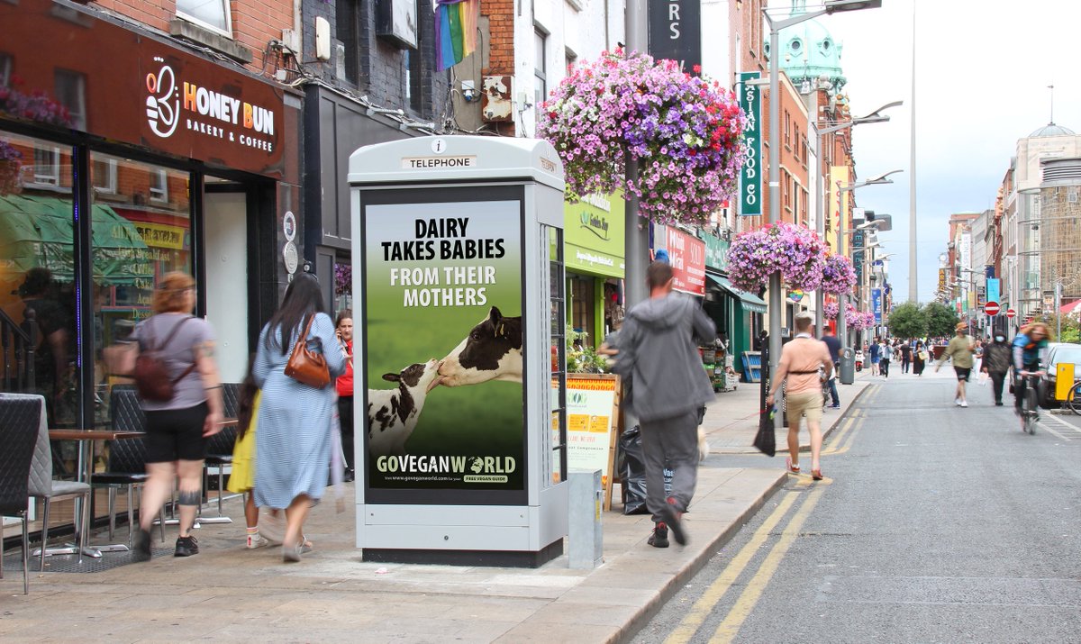 Go Vegan World tweet media