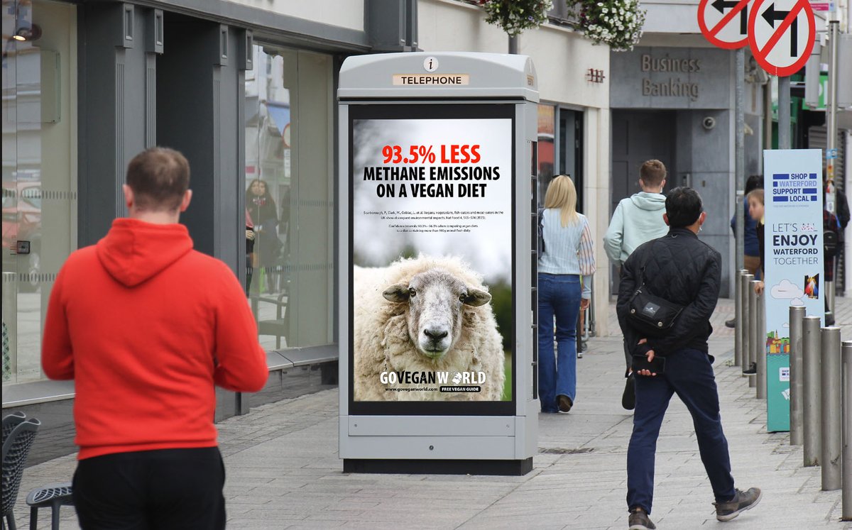 Go Vegan World tweet media