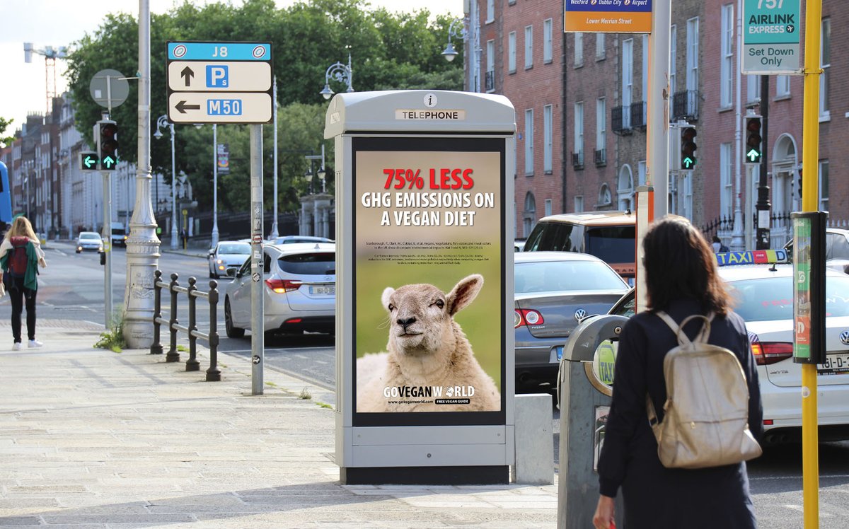 Go Vegan World tweet media