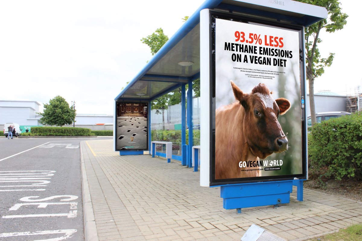 Go Vegan World tweet media