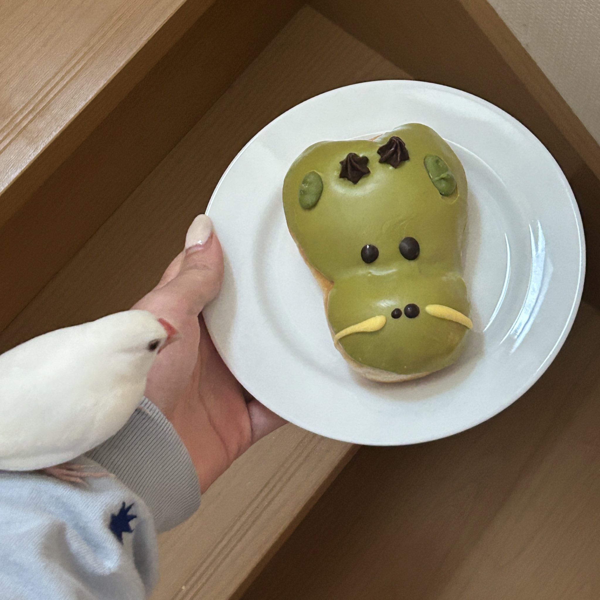oMoChi♥よろしくお願いします☺ How to use Yoroshiku onegaishimasu - in Japanese - YouTube