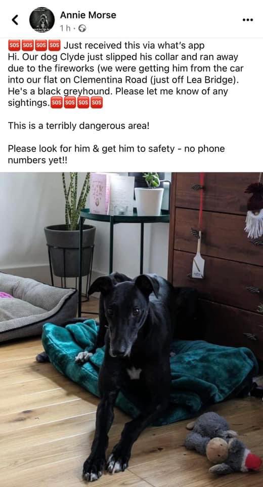 CLYDE MISSING DUE TO #fireworks 
doglost.co.uk/dog-blog.php?d…
slipped collar/ran due to fireworks (we were getting him from the car into our flat on Clementina Road (just off #LeaBridge). He's a black greyhound. on borders of #Leyton & #Walthamstow - #London - one of the main roads