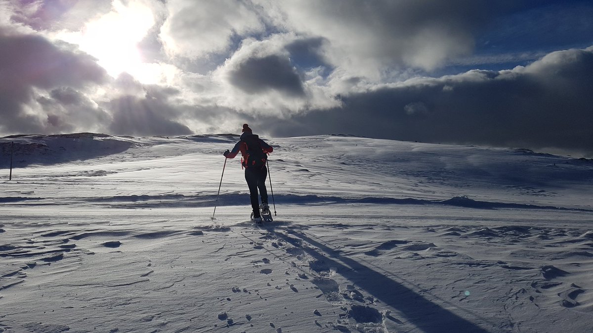 kirschkomplott's tweet photo. Gutes neues Jahr! #Schneeschuhwandern #Postalm https://t.co/wIOLp4Mr5R