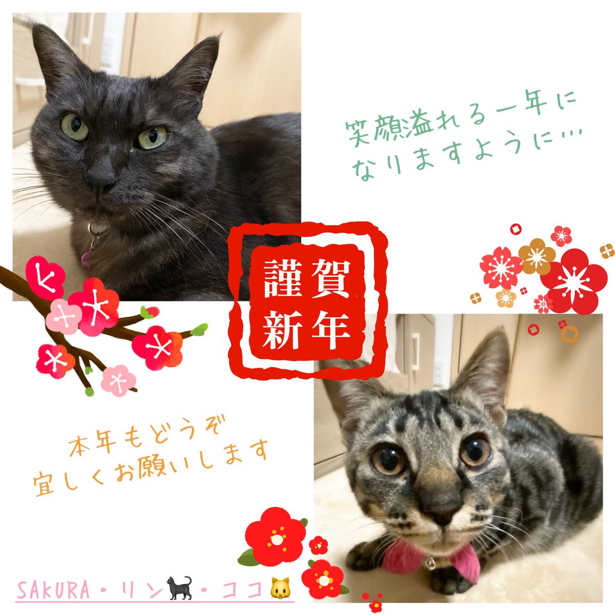 BSG_SAKURA's tweet photo. 皆さん、あけまして
おめでとうございます🎍
2024年はどんな年に
なるんでしょうね？
どうか心も���も健やかに
過ごせますように🙏
皆さんもご自愛下さいね😊✨
相変わらず低浮上ですが
よろしくお願いします🙇‍♀️ https://t.co/jHXSPyer04