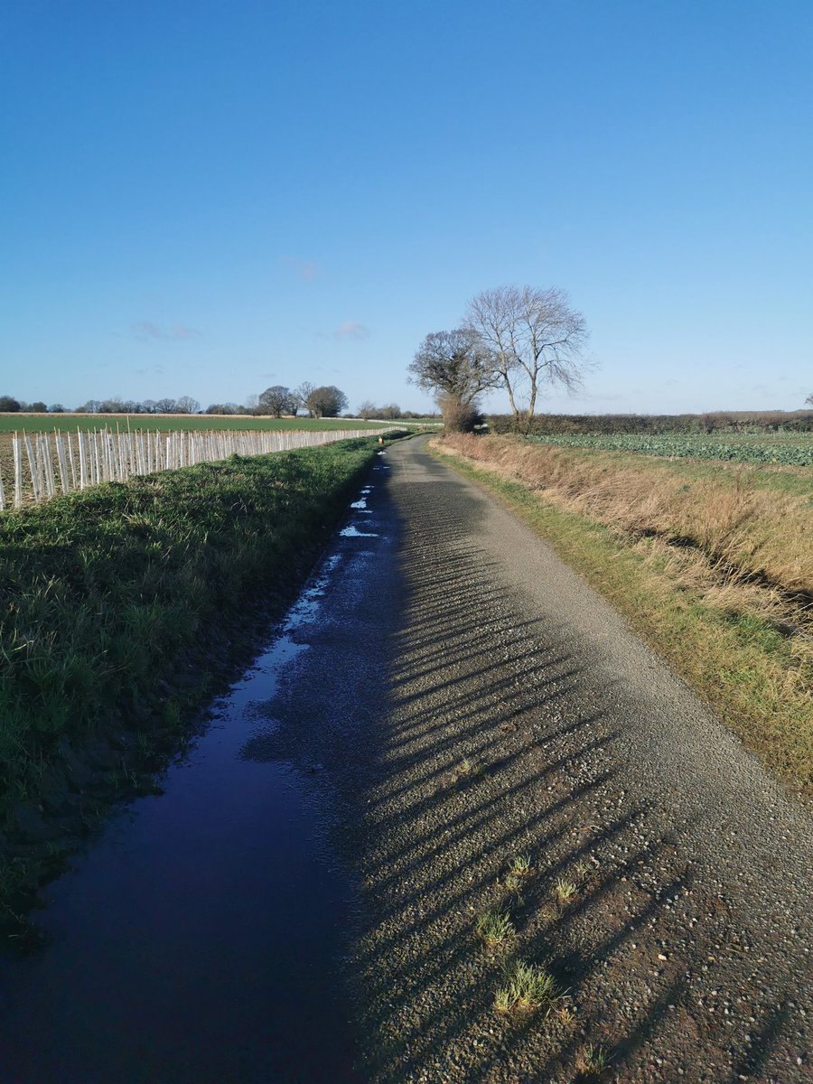 ag_recruiter's tweet photo. First 5k done for the year.
A lovely bright morning and followed by a young male kestrel.
Happy New Year everyone!
#exercisebore https://t.co/virNWubSlm