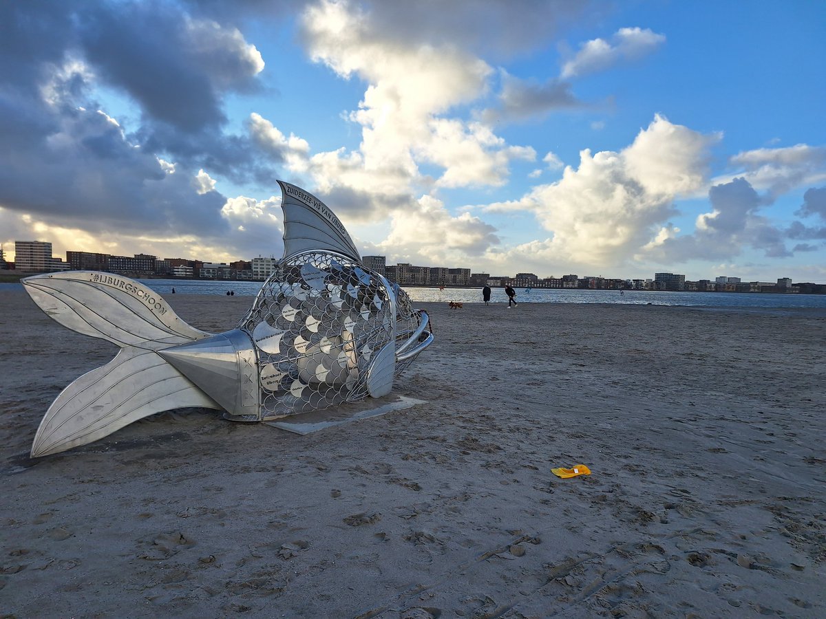 Nieuwjaarsdag IJburgstrand.