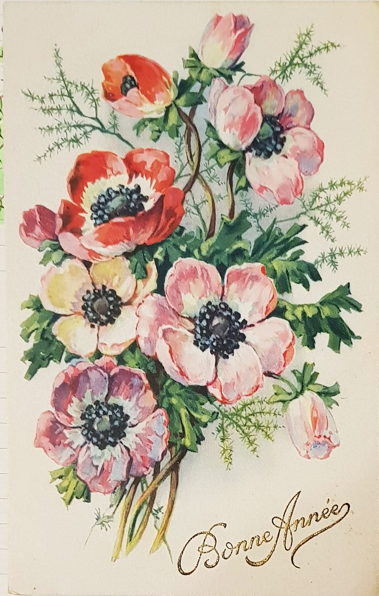 .<a href="/srmcarla/">Francesca Bertaina</a> -

#isola di #GRADO #island -

Che il 2024 sia all'insegna della Pace e della Salute - Auguri!

<a href="/mariacr28250504/">maria cristina lazzi</a> <a href="/giorgiobigi1/">giorgio bigi</a> <a href="/marina52182/">Marina 🌹🐞🦉</a> <a href="/SaraSanson67/">Sara Sanson</a> <a href="/SuttoraM/">suttora marina</a> <a href="/azzur_farfalla/">Azzurra Farfalla</a> <a href="/enrica_emme/">enrica emme </a> <a href="/abollis/">Alberto Bollis</a> <a href="/CiriSince1978/">Giuseppe</a> <a href="/Petiziol/">Edoardo Petiziol</a> <a href="/LaConsiglieria/">LaConsiglieria</a> @azure_keke <a href="/CMarc17/">Claudio Marchesan</a>